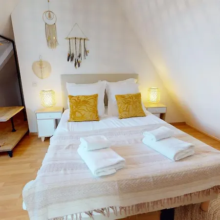Duplex Des Dominicains - 1 Parking Gratuit - Hypercentre 6 Personnes Daire Colmar