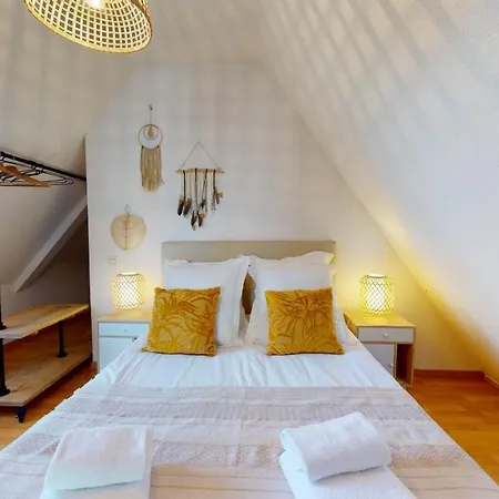 Duplex Des Dominicains - 1 Parking Gratuit - Hypercentre 6 Personnes