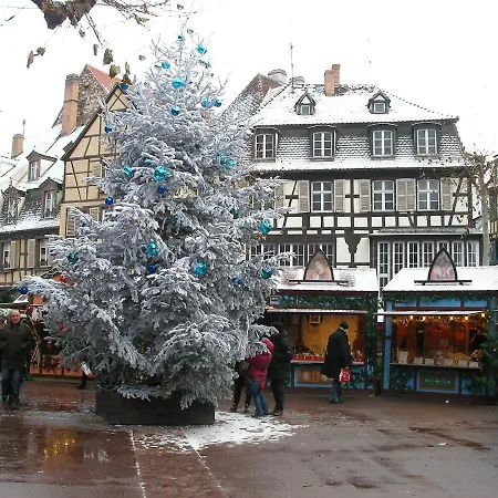 Duplex Des Dominicains - 1 Parking Gratuit - Hypercentre 6 Personnes Lejlighed