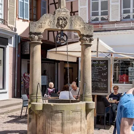 Duplex Des Dominicains - 1 Parking Gratuit - Hypercentre 6 Personnes * Colmar