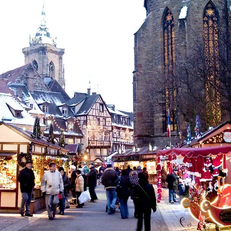 Duplex Des Dominicains - 1 Parking Gratuit - Hypercentre 6 Personnes * Colmar