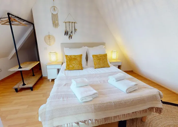 Duplex Des Dominicains - 1 Parking Gratuit - Hypercentre 6 Personnes Apartment Colmar