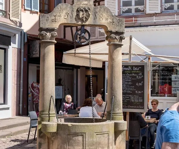 Duplex Des Dominicains - 1 Parking Gratuit - Hypercentre 6 Personnes * Colmar